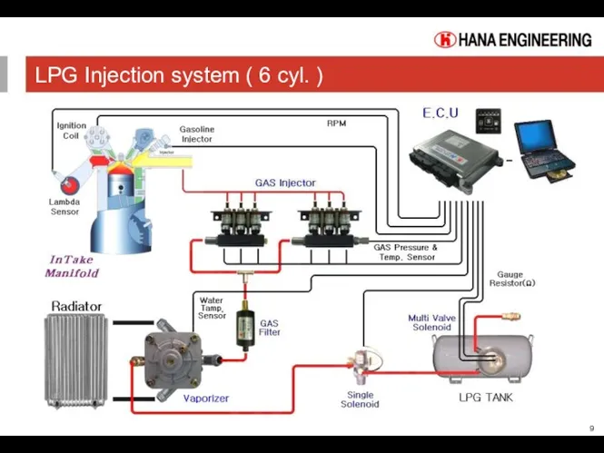 LPG Injection system ( 6 cyl. )