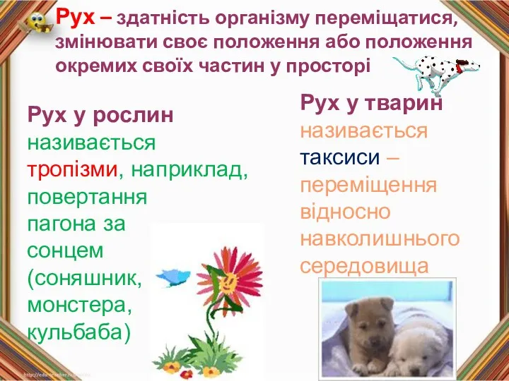 Рух у рослин називається тропізми, наприклад, повертання пагона за сонцем