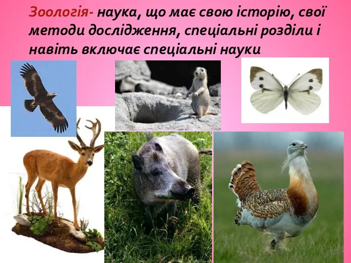 Зоологія- наука, що має свою історію, свої методи дослідження, спеціальні розділи і навіть включає спеціальні науки
