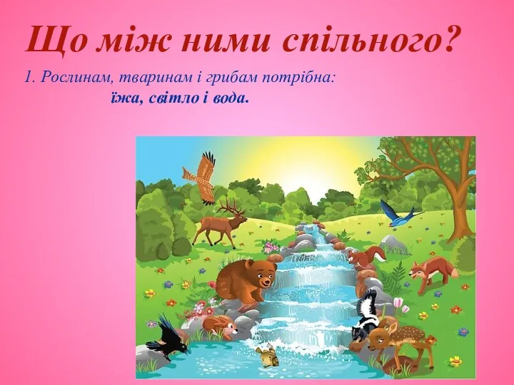 Що між ними спільного? 1. Рослинам, тваринам і грибам потрібна: їжа, світло і вода.