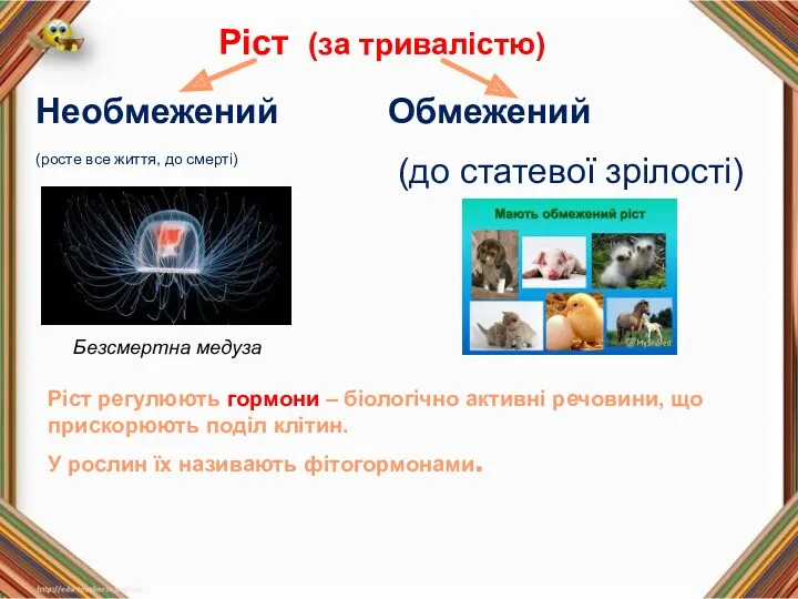 Ріст (за тривалістю) Необмежений (росте все життя, до смерті) Обмежений