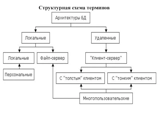 Структурная схема терминов