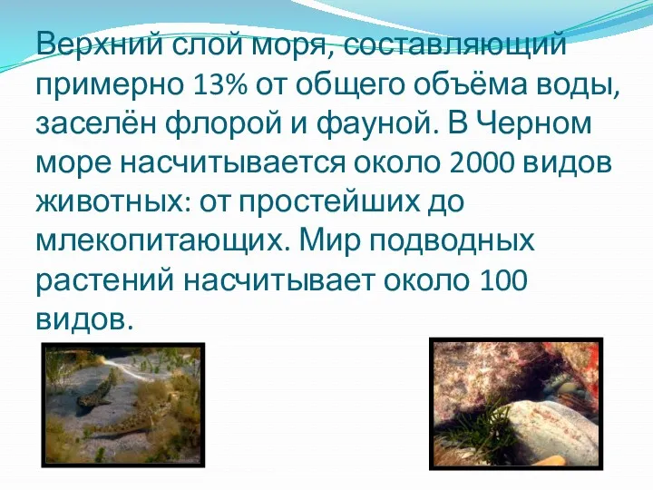 Верхний слой моря, составляющий примерно 13% от общего объёма воды,