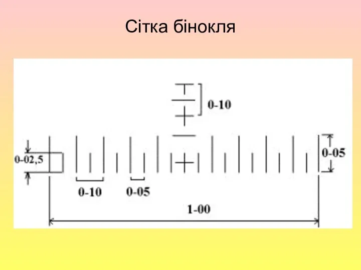 Сітка бінокля