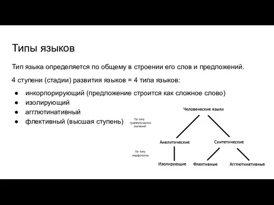 Типы языков Тип языка определяется по общему в строении его