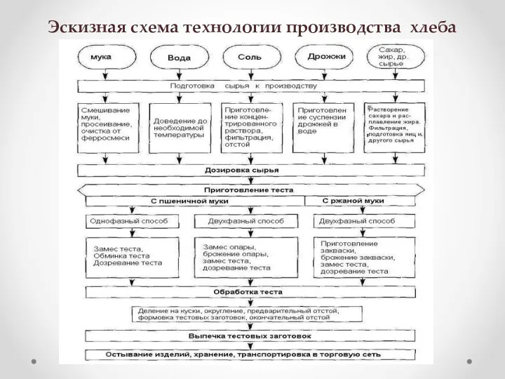 Эскизная схема технологии производства хлеба