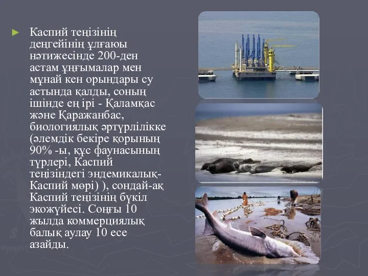 Каспий теңізінің деңгейінің ұлғаюы нәтижесінде 200-ден астам ұңғымалар мен мұнай