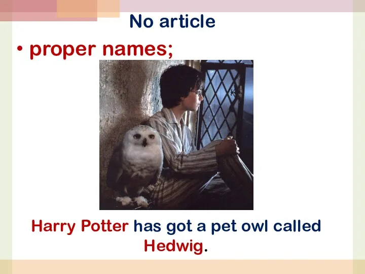 No article proper names; Harry Potter has got a pet owl called Hedwig.
