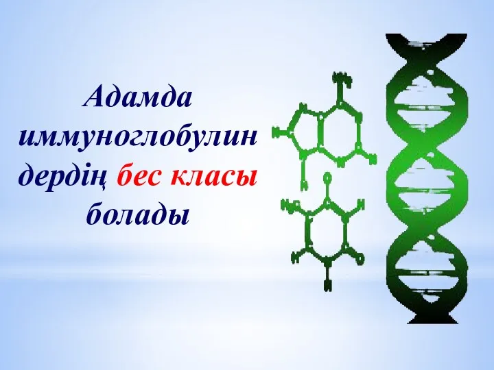 Адамда иммуноглобулиндердің бес класы болады