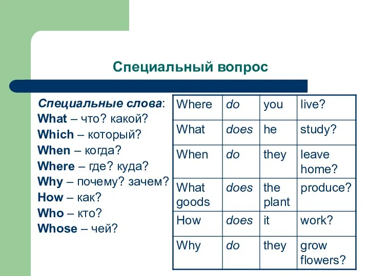 Специальный вопрос Специальные слова: What – что? какой? Which –