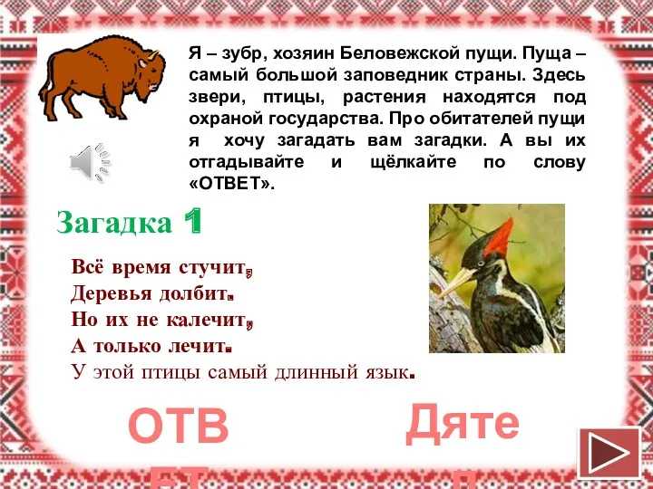 Я – зубр, хозяин Беловежской пущи. Пуща – самый большой