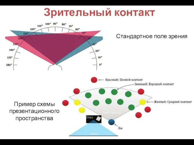 Зрительный контакт Стандартное поле зрения Пример схемы презентационного пространства