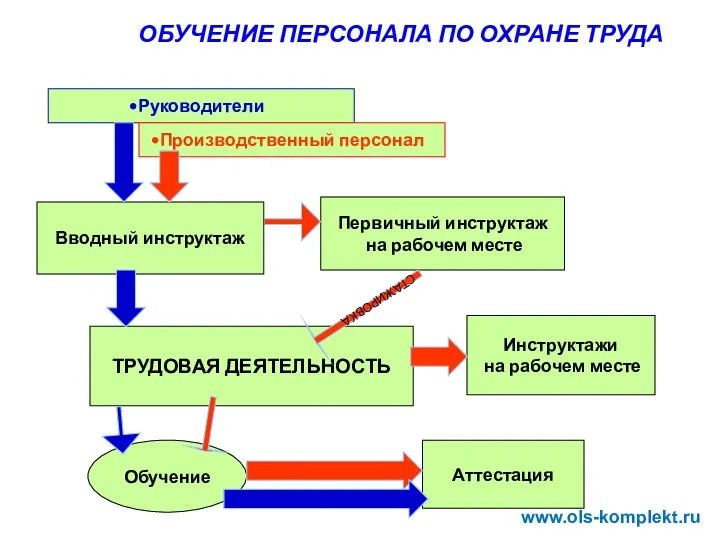 ОБУЧЕНИЕ ПЕРСОНАЛА ПО ОХРАНЕ ТРУДА Руководители Обучение Первичный инструктаж на