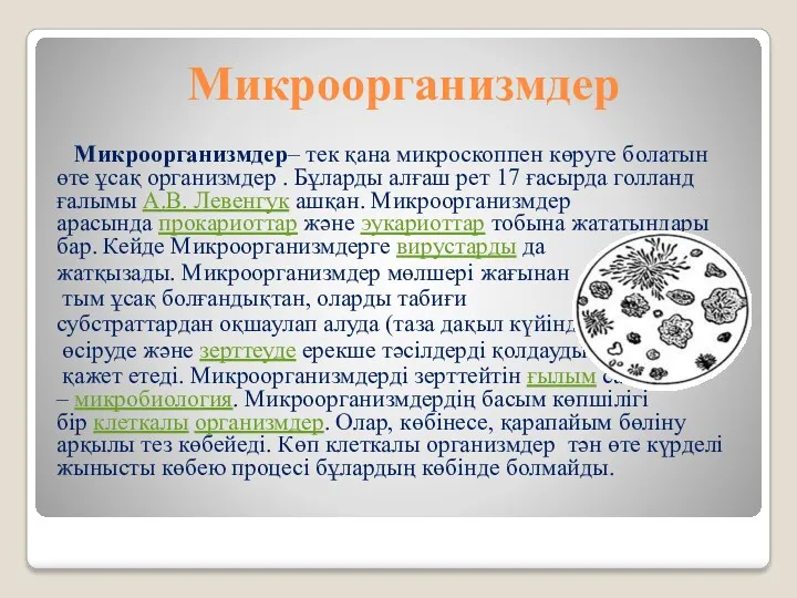 Микроорганизмдер Микроорганизмдер– тек қана микроскоппен көруге болатын өте ұсақ организмдер