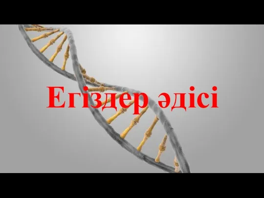 Егіздер әдісі