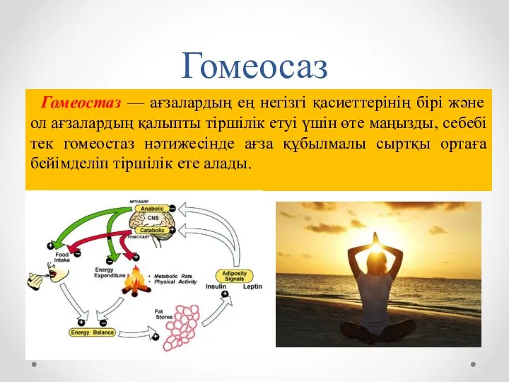 Гомеосаз Гомеостаз — ағзалардың ең негізгі қасиеттерінің бірі және ол