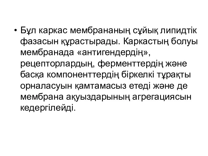 Бұл каркас мембрананың сұйық липидтік фазасын құрастырады. Каркастың болуы мембранада