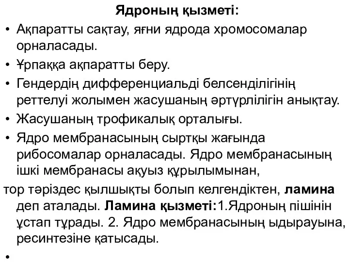 Ядроның қызметі: Ақпаратты сақтау, яғни ядрода хромосомалар орналасады. Ұрпаққа ақпаратты