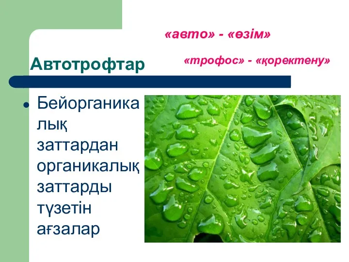 Автотрофтар Бейорганикалық заттардан органикалық заттарды түзетін ағзалар «авто» - «өзім» «трофос» - «қоректену»