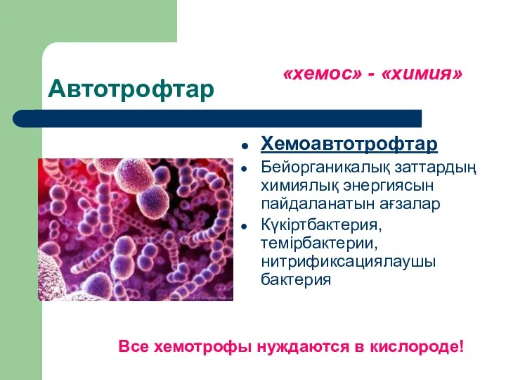 Автотрофтар Хемоавтотрофтар Бейорганикалық заттардың химиялық энергиясын пайдаланатын ағзалар Күкіртбактерия, темірбактерии,