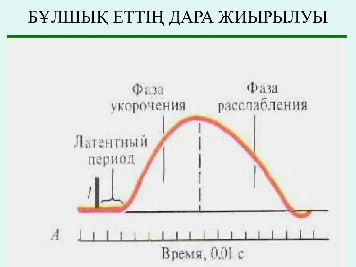 БҰЛШЫҚ ЕТТІҢ ДАРА ЖИЫРЫЛУЫ