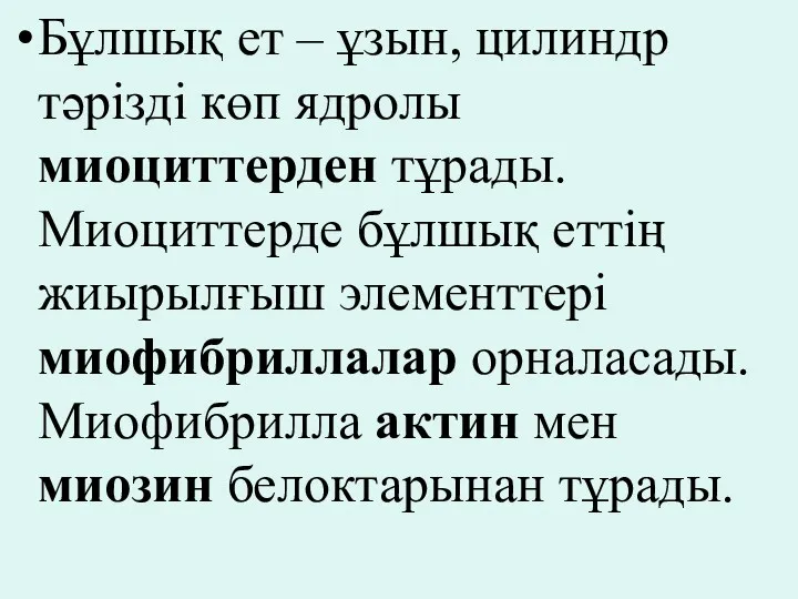 Бұлшық ет – ұзын, цилиндр тәрізді көп ядролы миоциттерден тұрады.