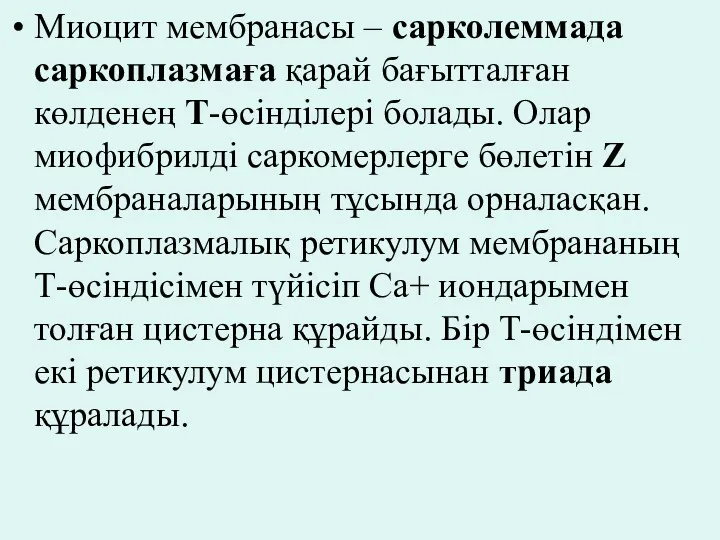 Миоцит мембранасы – сарколеммада саркоплазмаға қарай бағытталған көлденең Т-өсінділері болады.