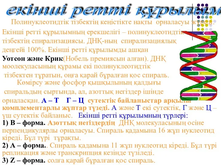 Полинуклеотидтік тізбектің кеңістікте нақты орналасуы жүреді. Екінші ретті құрылымның ерекшелігі