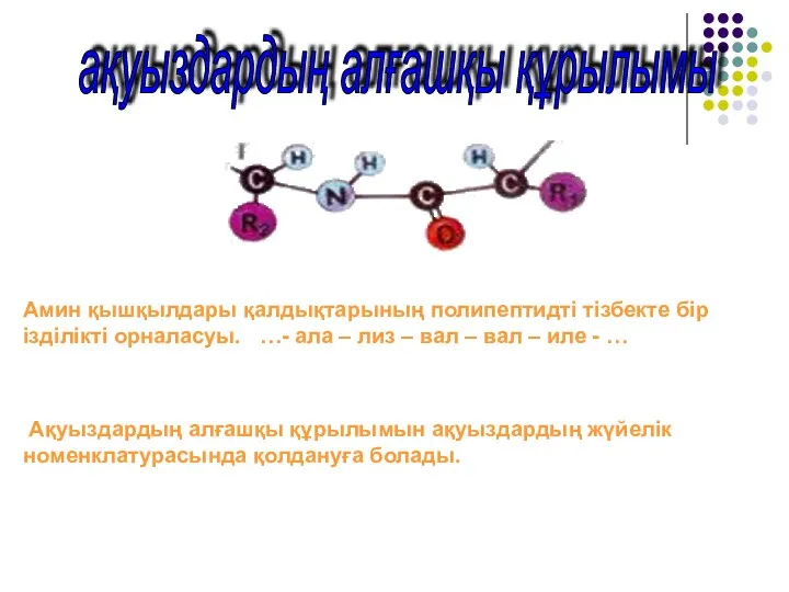 ақуыздардың алғашқы құрылымы Амин қышқылдары қалдықтарының полипептидті тізбекте бір ізділікті