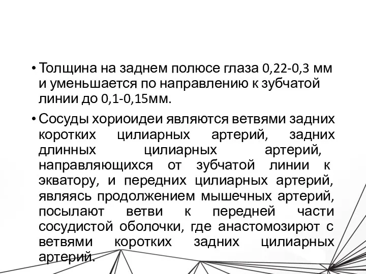 Толщина на заднем полюсе глаза 0,22-0,3 мм и уменьшается по направлению к зубчатой