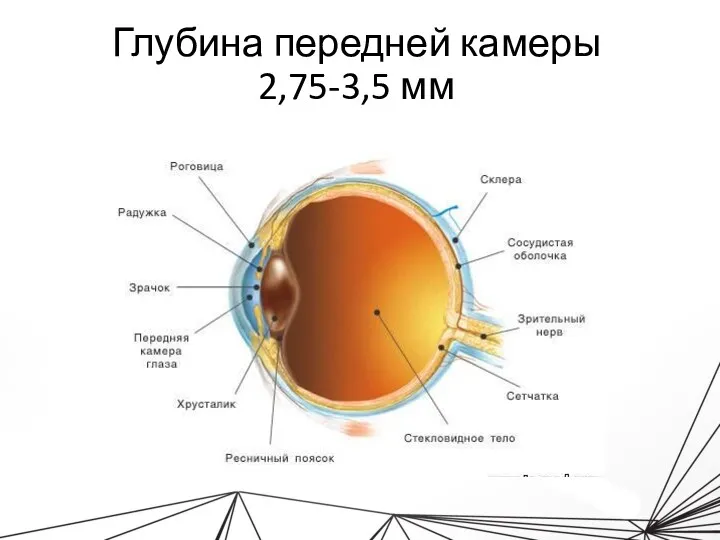 Глубина передней камеры 2,75-3,5 мм