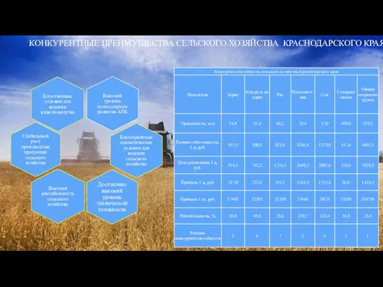 КОНКУРЕНТНЫЕ ПРЕИМУЩЕСТВА СЕЛЬСКОГО ХОЗЯЙСТВА КРАСНОДАРСКОГО КРАЯ