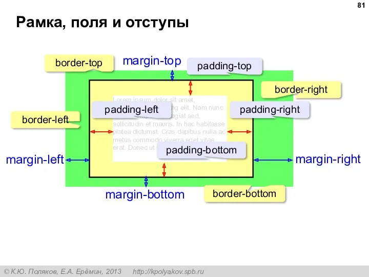 Рамка, поля и отступы Lorem ipsum dolor sit amet, consectetur