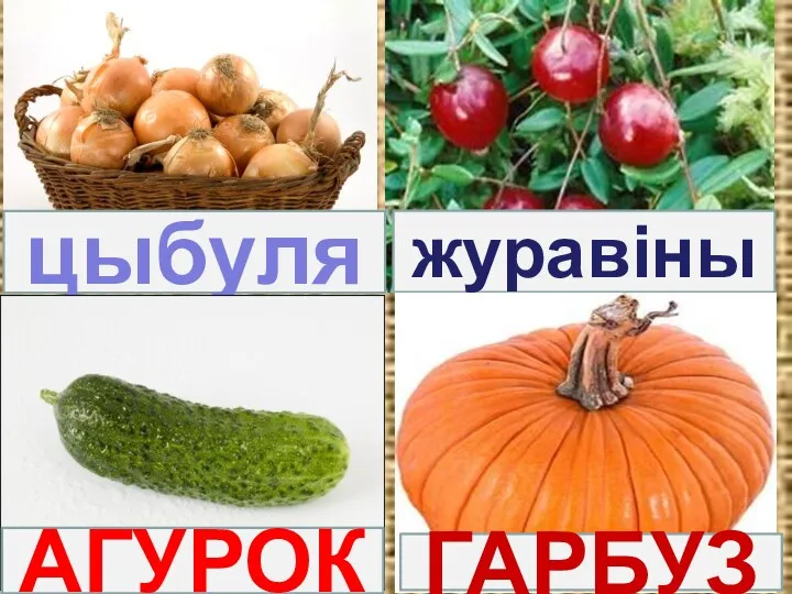 цыбуля журавіны ГАРБУЗ АГУРОК