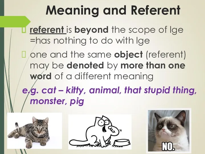 Meaning and Referent referent is beyond the scope of lge