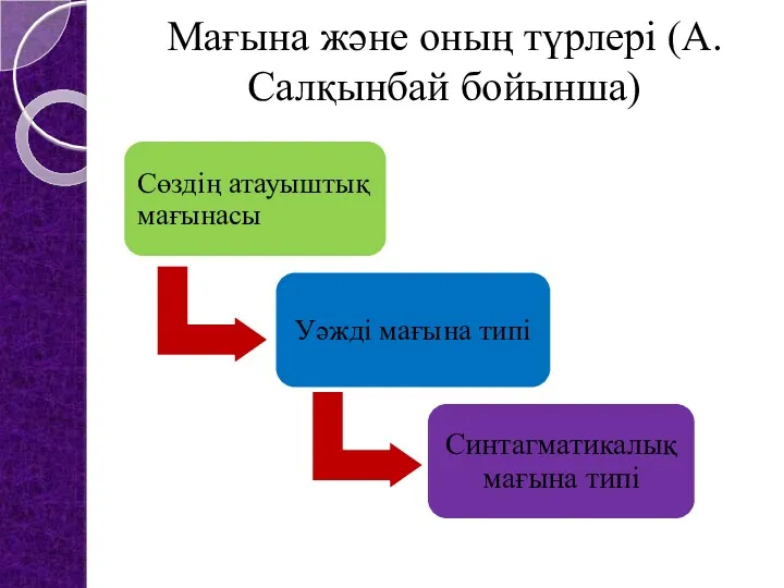 Мағына және оның түрлері (А.Салқынбай бойынша)