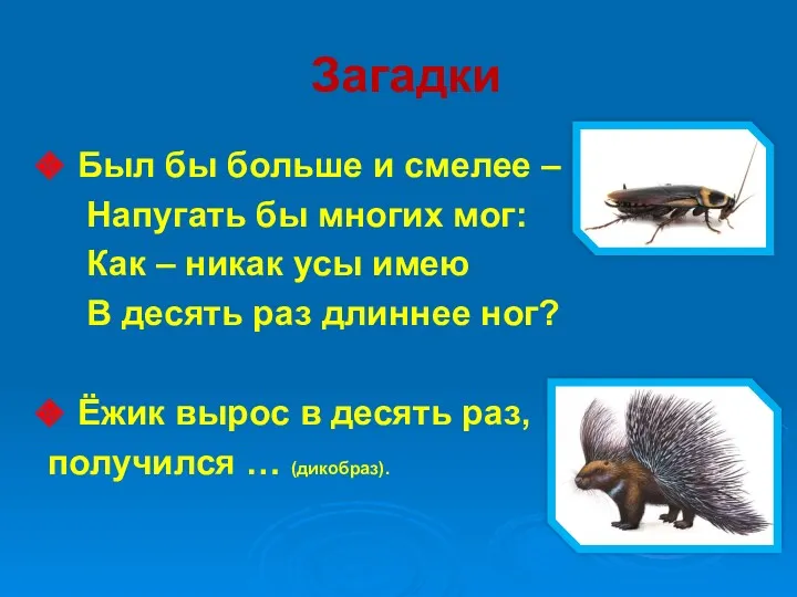 Загадки Был бы больше и смелее – Напугать бы многих