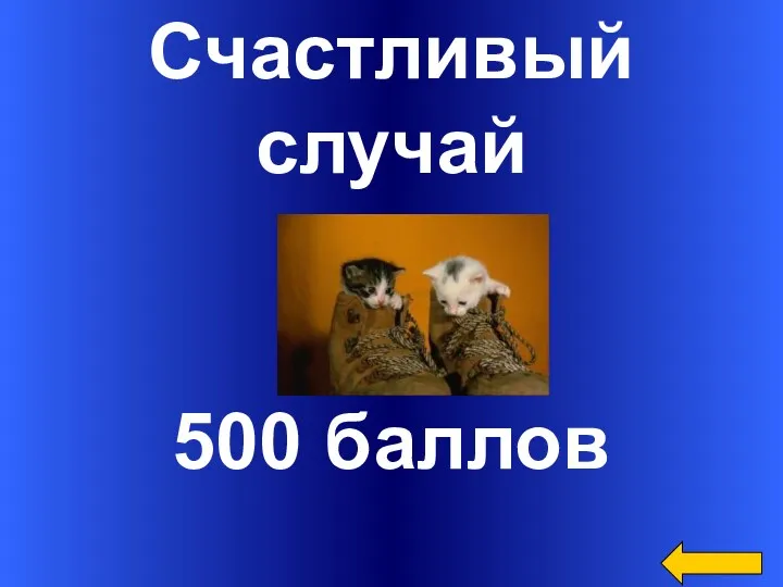 Счастливый случай 500 баллов