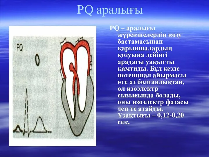 РQ аралығы PQ – аралығы жүрекшелердің қозу бастамасынан қарыншалардың қозуына