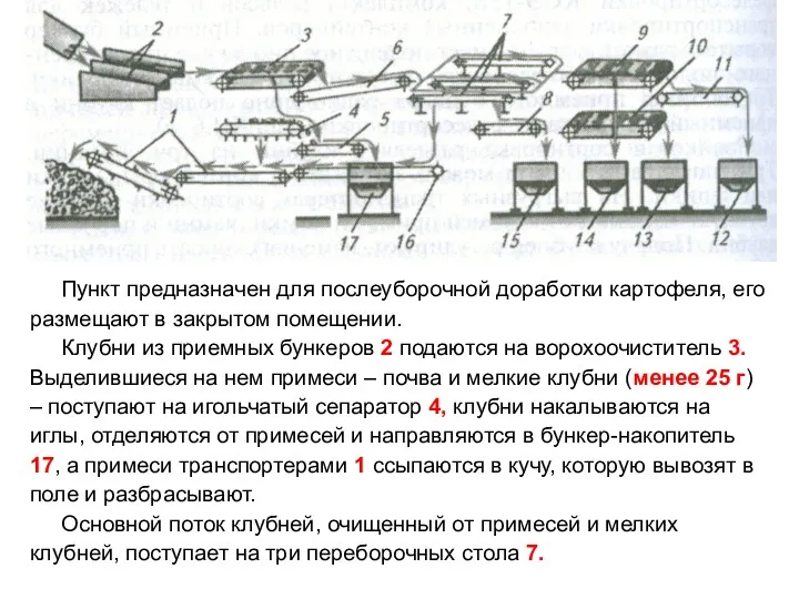 Пункт предназначен для послеуборочной доработки картофеля, его размещают в закрытом