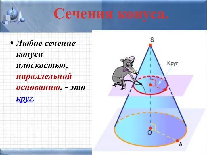 Любое сечение конуса плоскостью, параллельной основанию, - это круг. Сечения конуса.