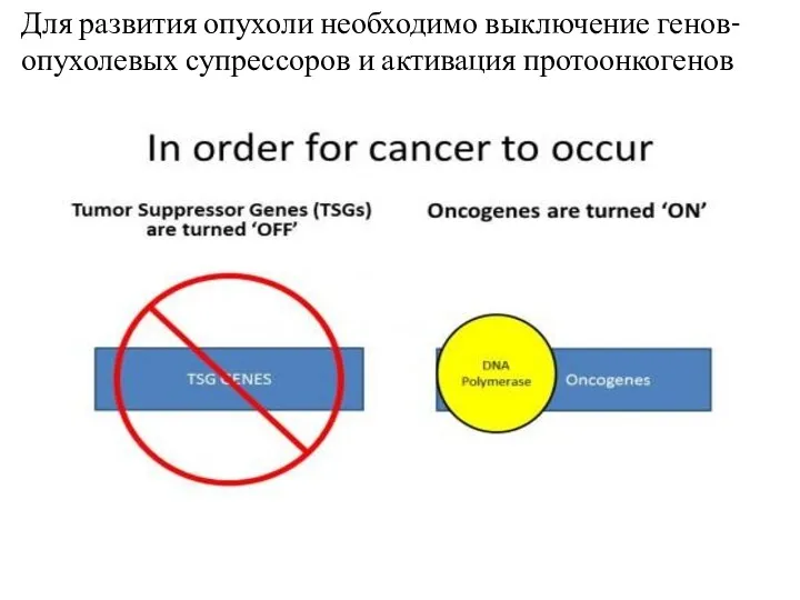 Для развития опухоли необходимо выключение генов-опухолевых супрессоров и активация протоонкогенов