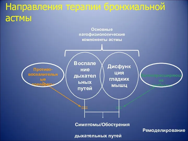 Направления терапии бронхиальной астмы Воспаление дыхательных путей Дисфункция гладких мышц