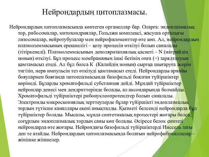 Нейрондардың цитоплазмасы. Нейрондардың цитоплазмасында көптеген органеллар бар. Оларға: эндоплазмалық тор,