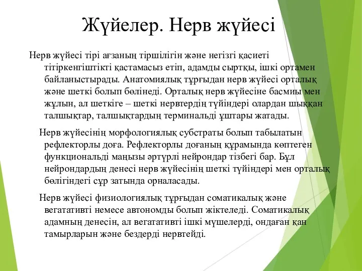 Жүйелер. Нерв жүйесі Нерв жүйесі тірі ағзаның тіршілігін және негізгі