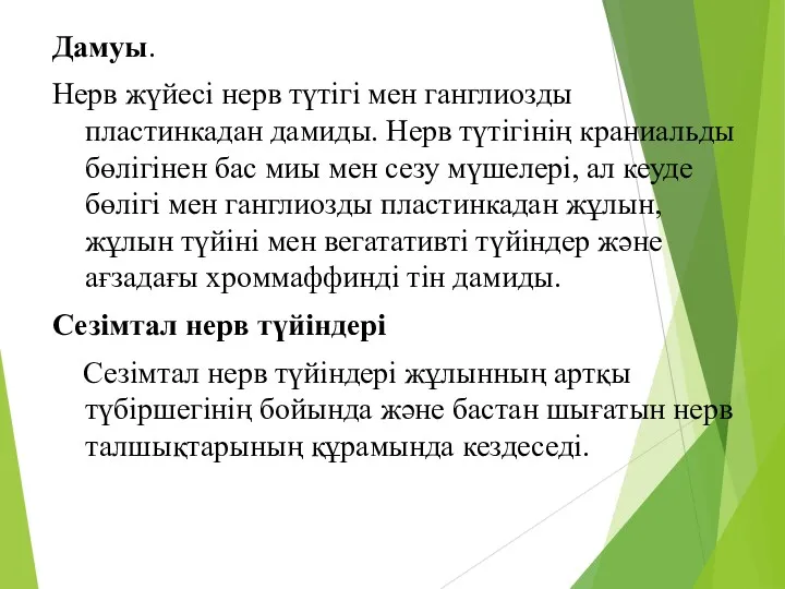 Дамуы. Нерв жүйесі нерв түтігі мен ганглиозды пластинкадан дамиды. Нерв