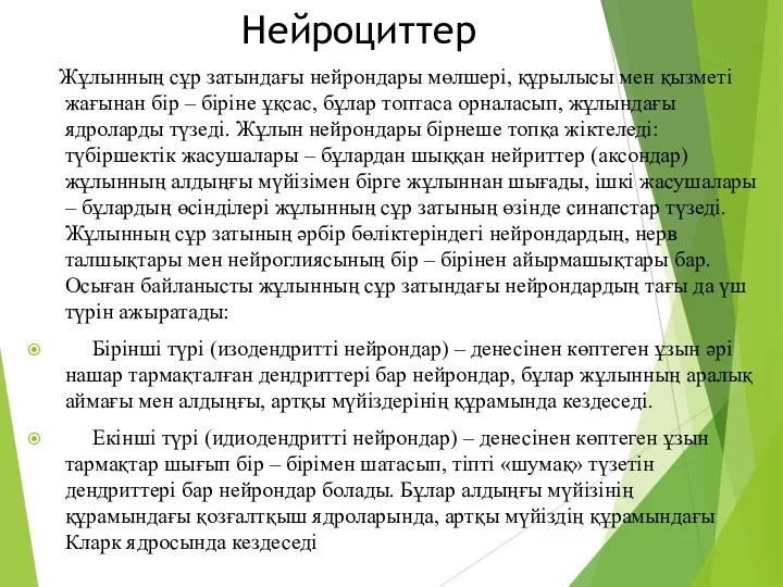 Нейроциттер Жұлынның сұр затындағы нейрондары мөлшері, құрылысы мен қызметі жағынан