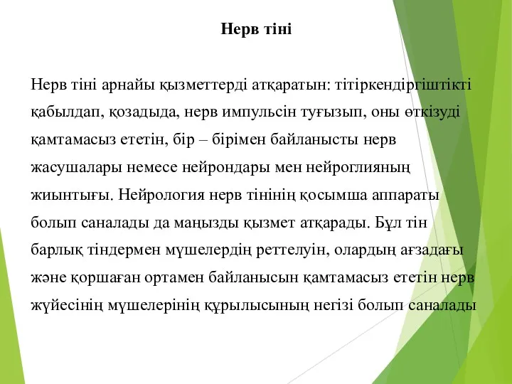 Нерв тіні Нерв тіні арнайы қызметтерді атқаратын: тітіркендіргіштікті қабылдап, қозадыда,