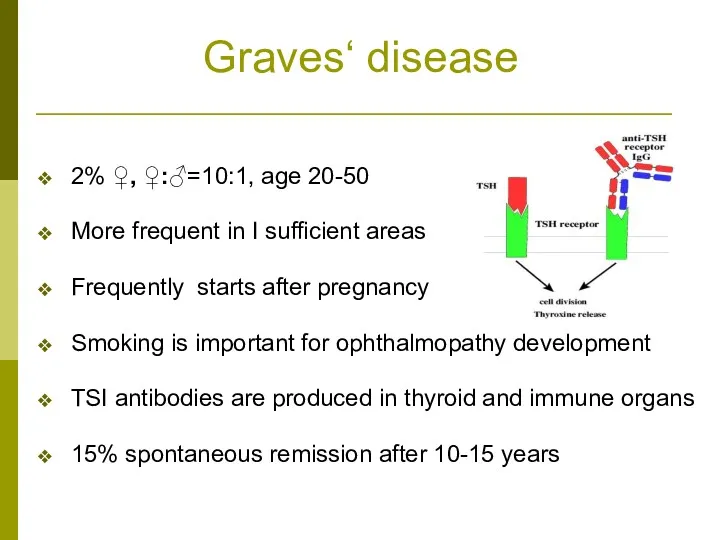 Graves‘ disease 2% ♀, ♀:♂=10:1, age 20-50 More frequent in