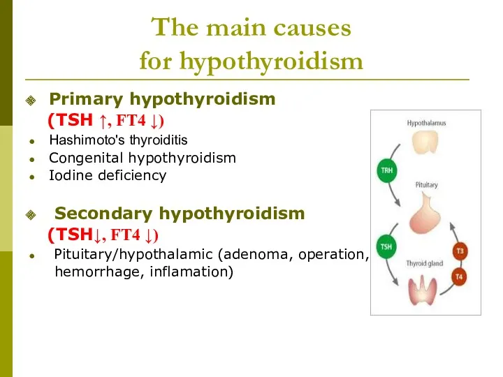 The main causes for hypothyroidism Primary hypothyroidism (TSH ↑, FT4